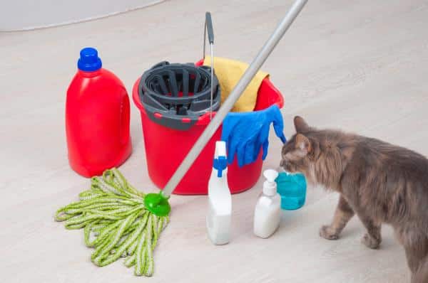 Les odeurs que les chats détestent le plus - Savons, déodorants et détergents