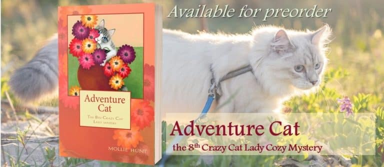 Adventure Cat, le prochain opus de la série primée Crazy Cat Lady Cozy Mystery