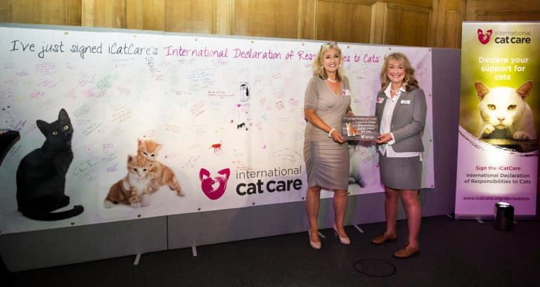 Nous fêtons avec eux les 60 ans d'International Cat Care