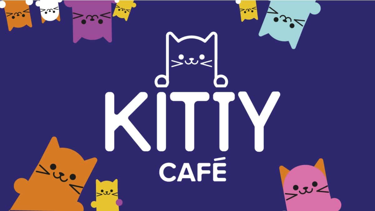 Le Kitty-Café lance une nouvelle Box d'abonnement : découvrez ce qu'elle a à offrir !