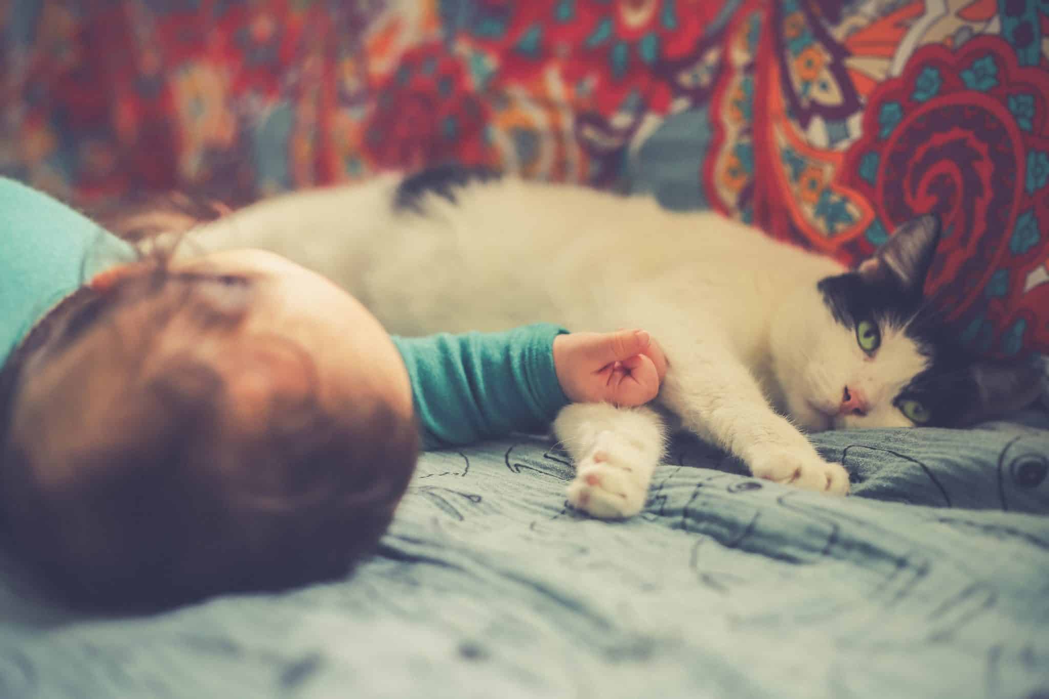 Comment présenter votre chat à votre bébé en toute sécurité ?