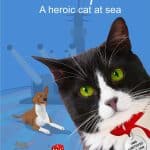 Critique de livre : Simon Goes to Sea – Le brave chat de la mer