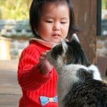 Recherche universitaire sur les animaux de compagnie et les enfants présentée par des experts britanniques