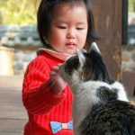 Les bienfaits des animaux de compagnie pour les enfants : étude britannique