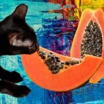 Les chats peuvent-ils bénéficier de l'alimentation à la papaye ?
