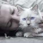 Comment les chats affectent la santé mentale pendant la grossesse