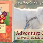 Une Aventure Féline : Découvrez le Prochain Opus de la Série Primée 'Crazy Cat Lady Cozy Mystery'.