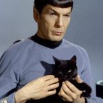 10 Noms de Chat Star Trek pour Donner à Votre Félin à Fourrure