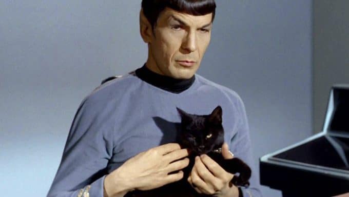 Spock avec un chat noir de la série originale Star Trek.