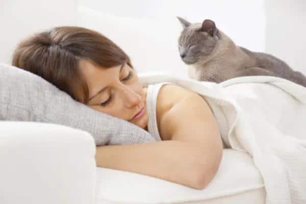 Signes que votre chat vous aime - Dormir avec vous