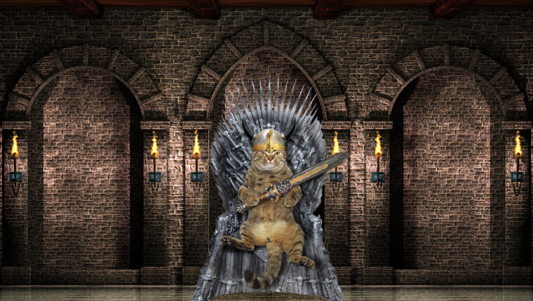 chat sur le trône de fer de game of thrones 