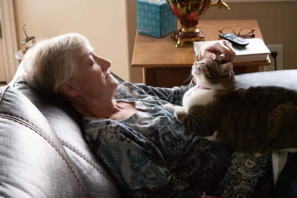 Spasmes chez les chats âgés : symptômes et causes - Prévention des spasmes chez les chats âgés