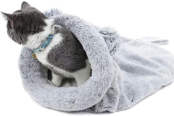 Meilleurs lits pour chats - Lit de sac de couchage