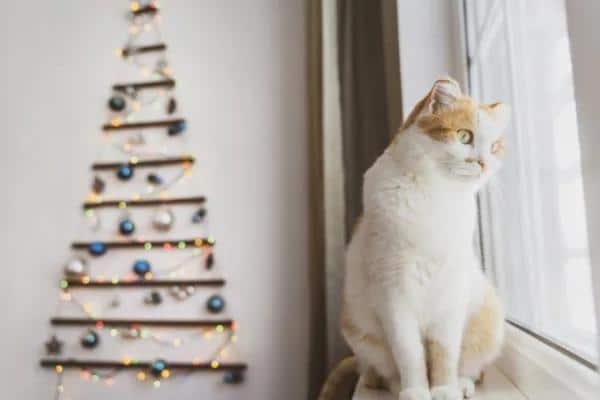 Comment assembler le sapin de Noël avec des chats à la maison - Quel sapin de Noël avec des chats est le plus approprié