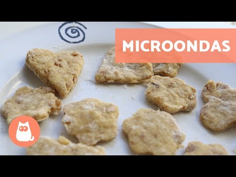Comment préparer des biscuits pour chat : une recette facile