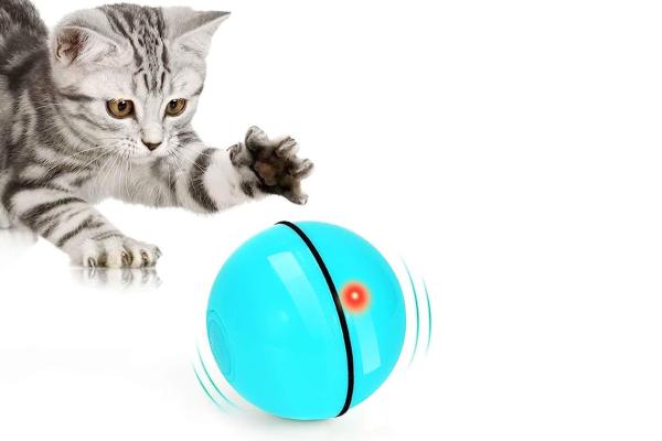 Meilleurs jouets interactifs pour chat - Balles interactives