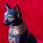 decouvrez-le-mysterieux-nom-du-chat-du-pharaon