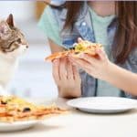 Les risques pour votre chat si vous lui donnez de la pizza : ce qu'il faut savoir