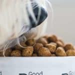 Nourrir son animal de compagnie : quelle est la meilleure option entre nourriture humide et sèche ?